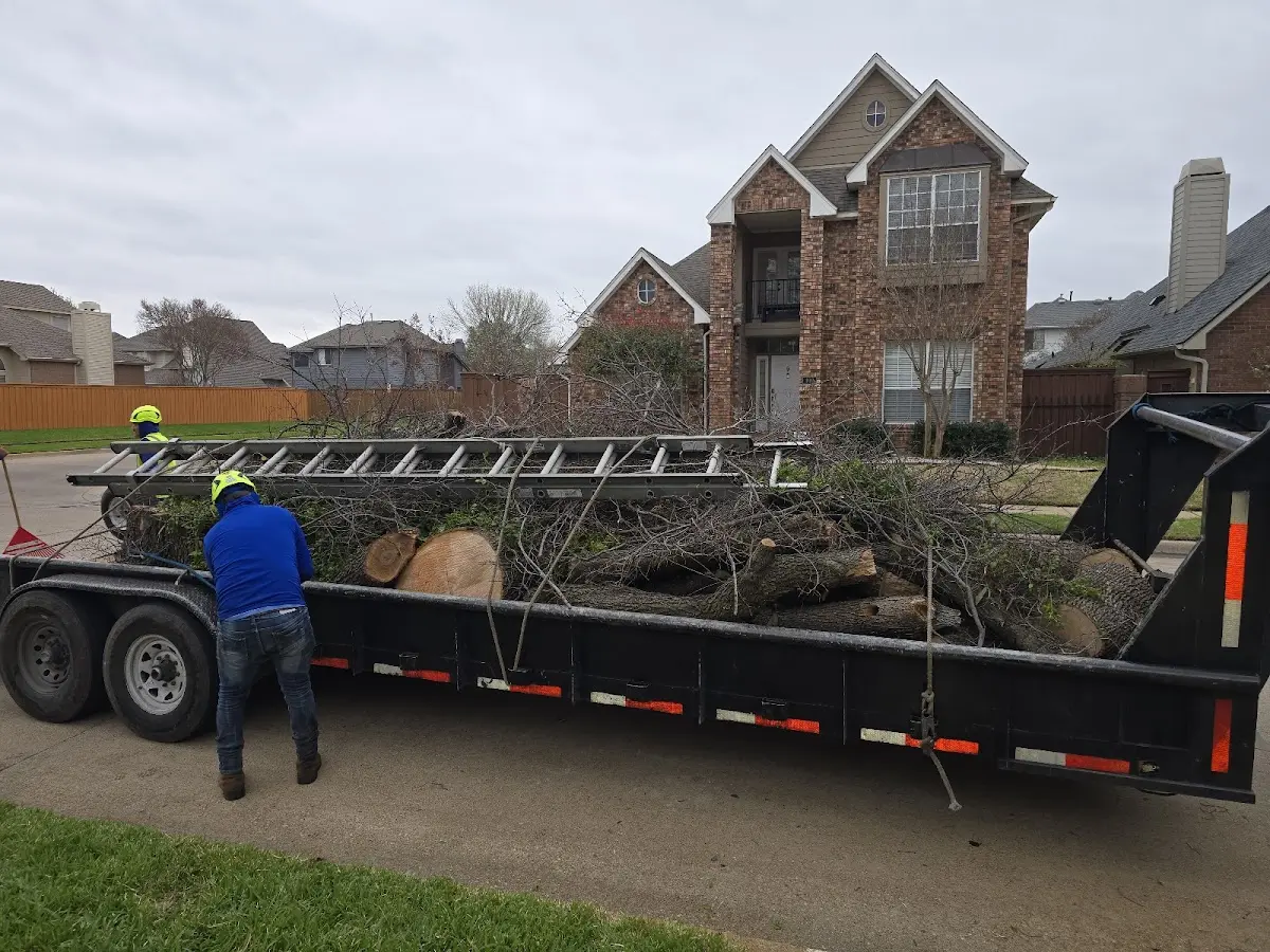 Expert Tree Pest Control with proper safety equipment in New Lothrop